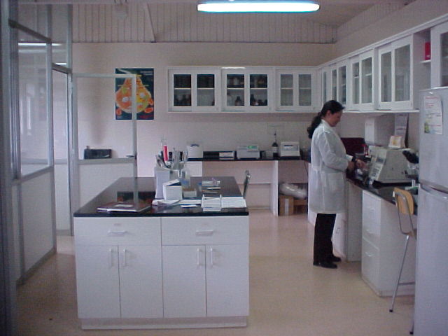 Lorena-Lab2.jpg (47605 bytes)